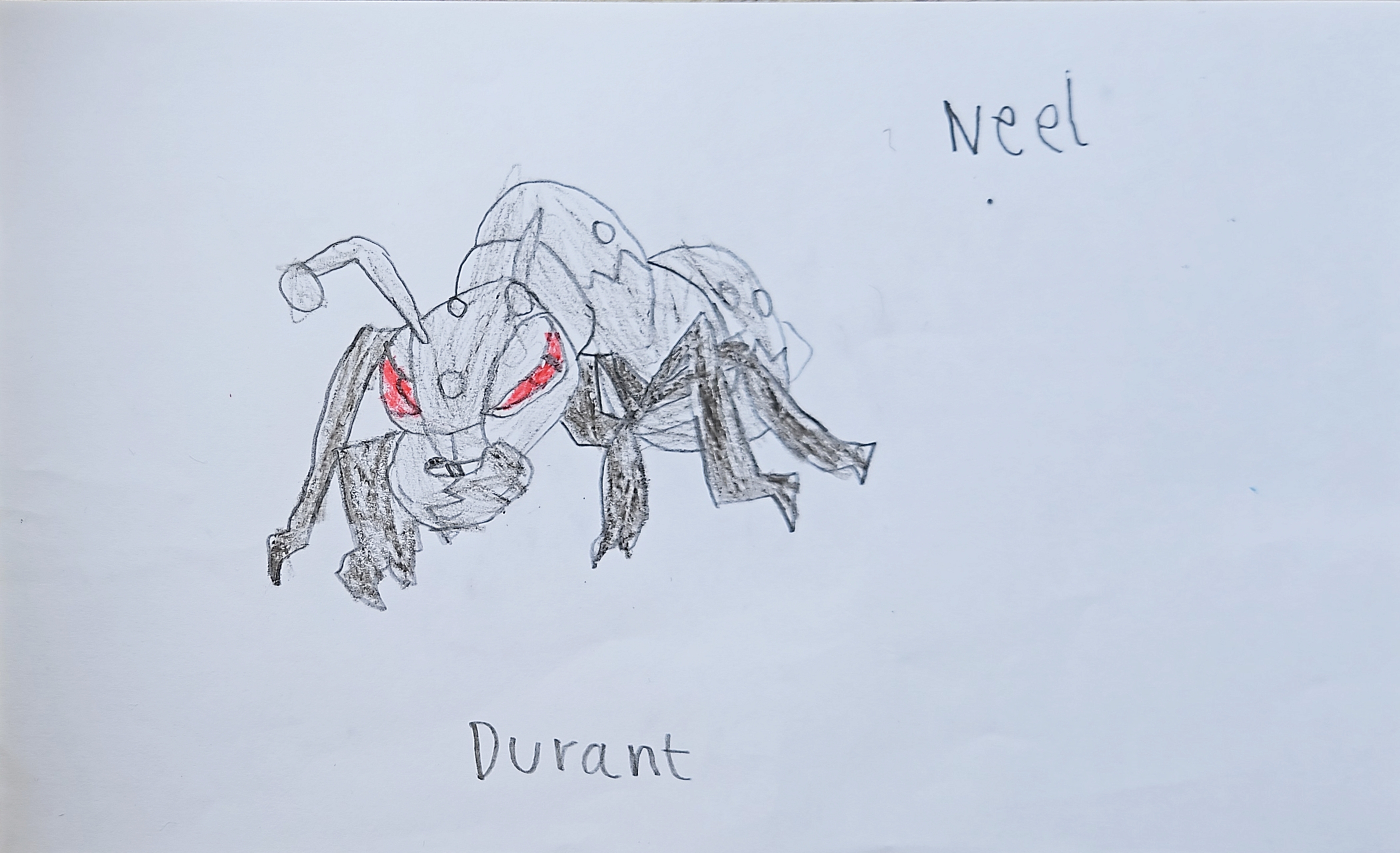 Durant(pokemon)