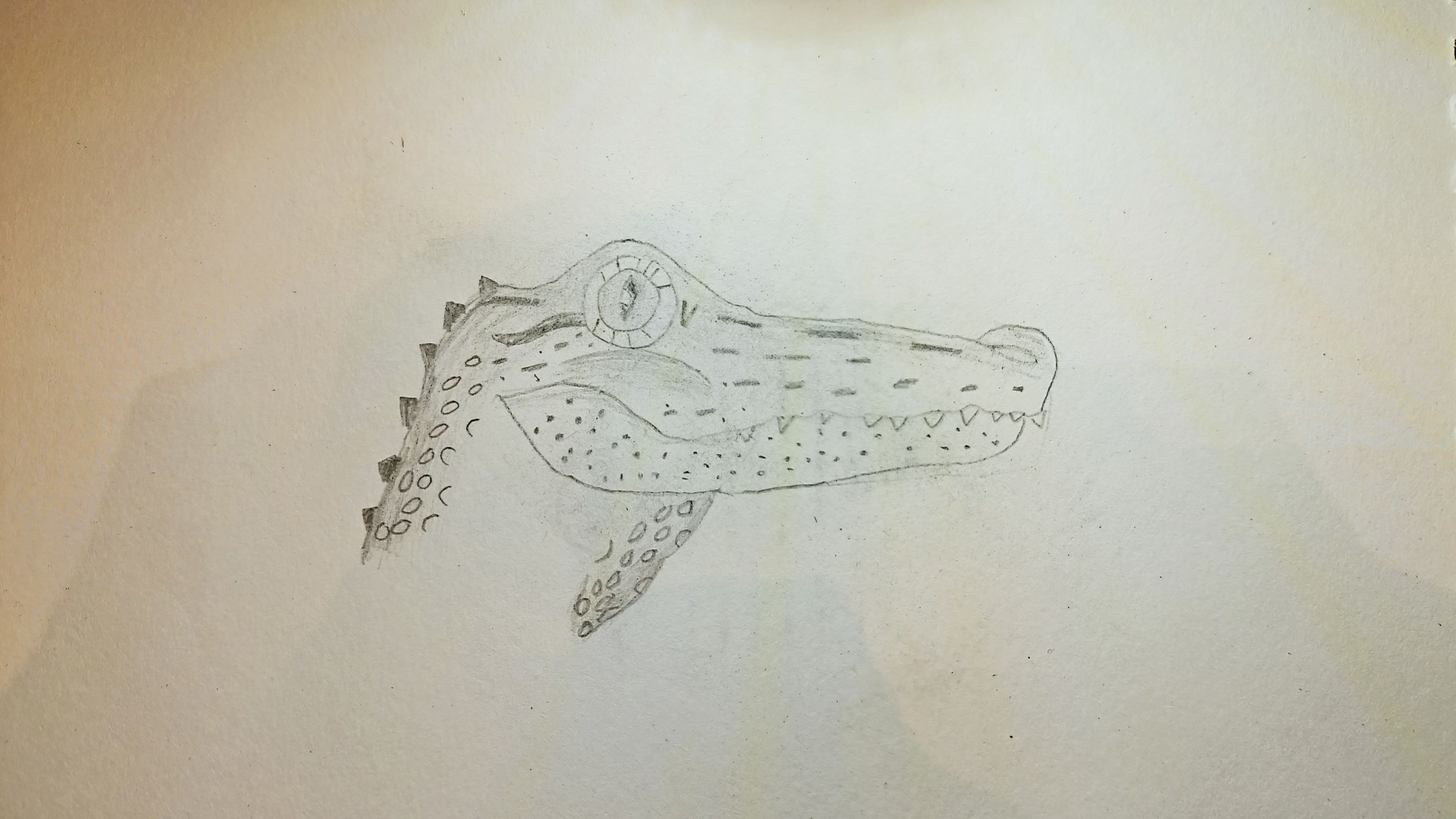 Alligator