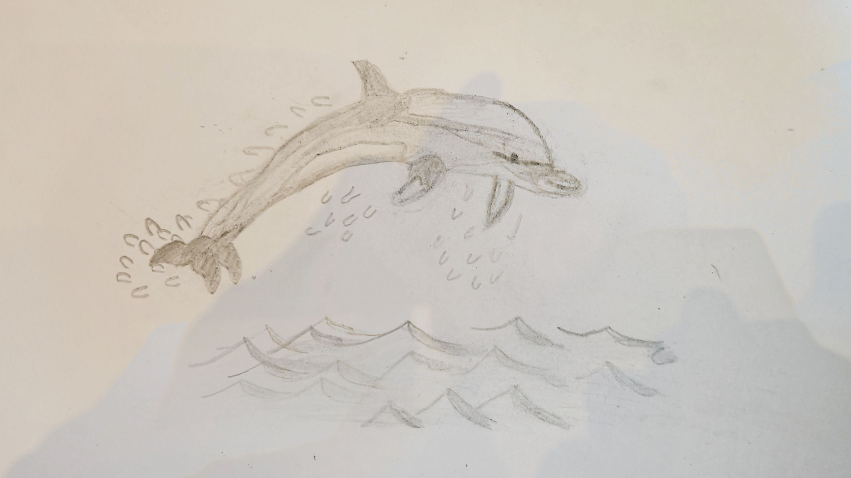 Dolphin
