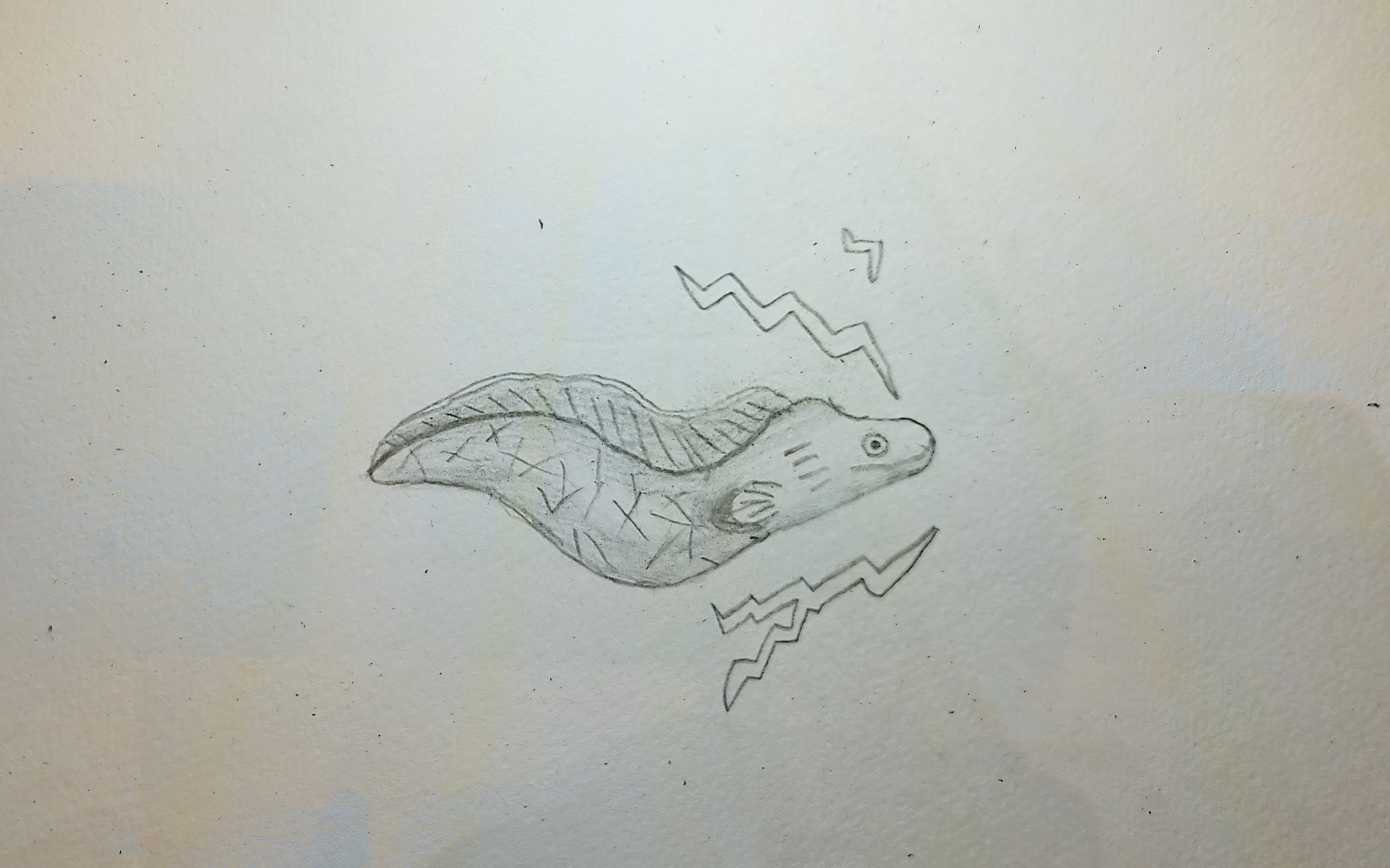 Electric Eel