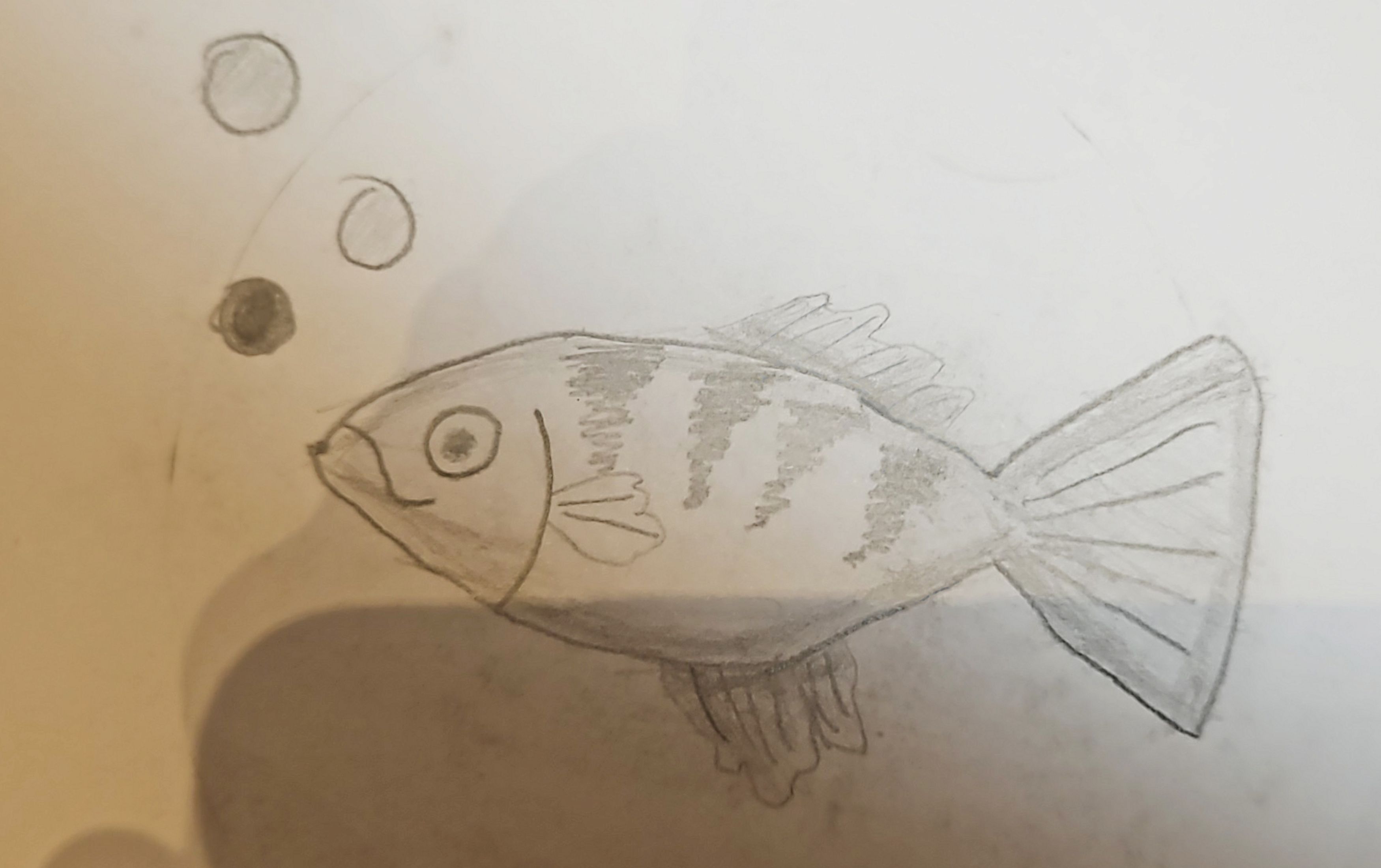 2025-26 Pencil Sketches (8 year old)