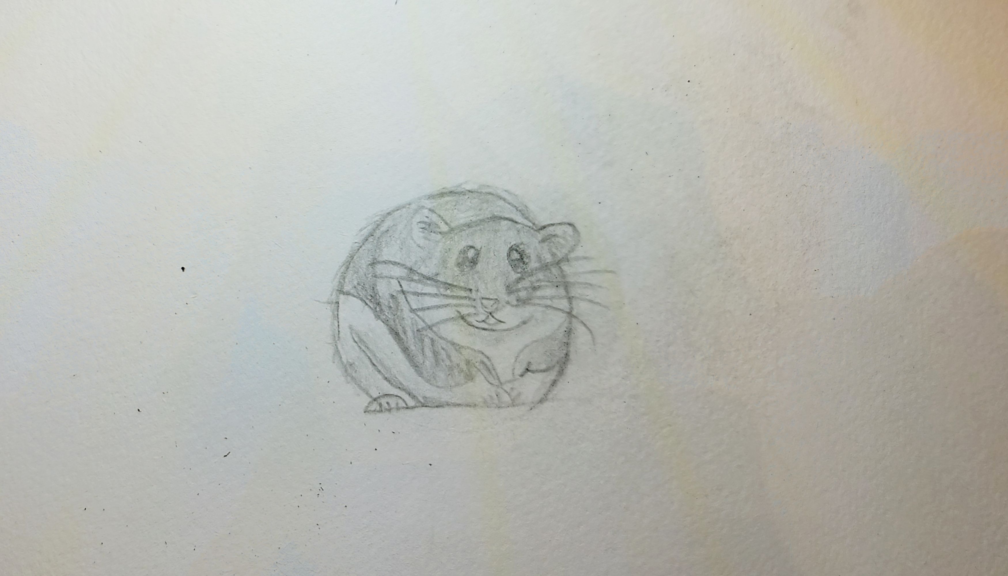 Mouse