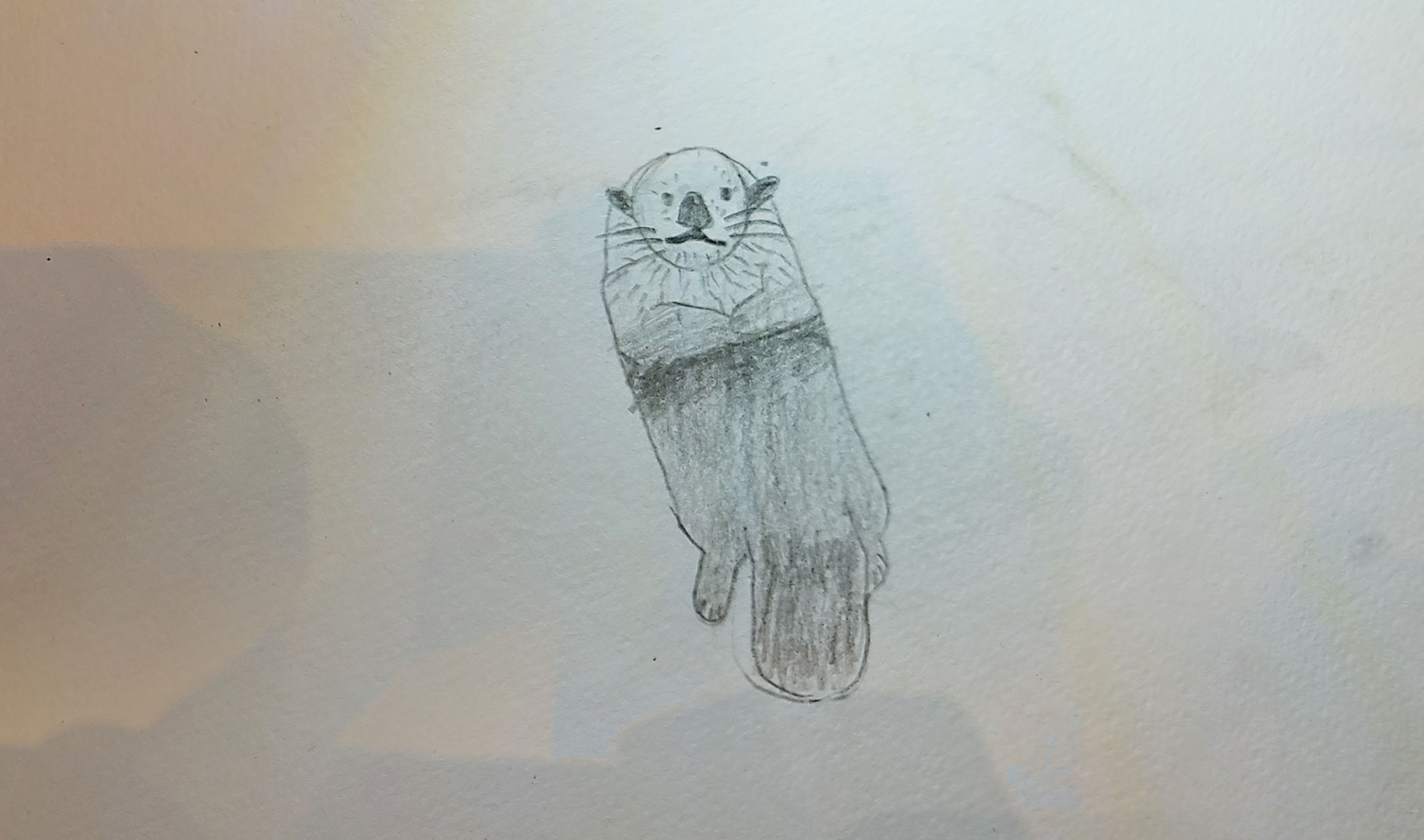 Otter
