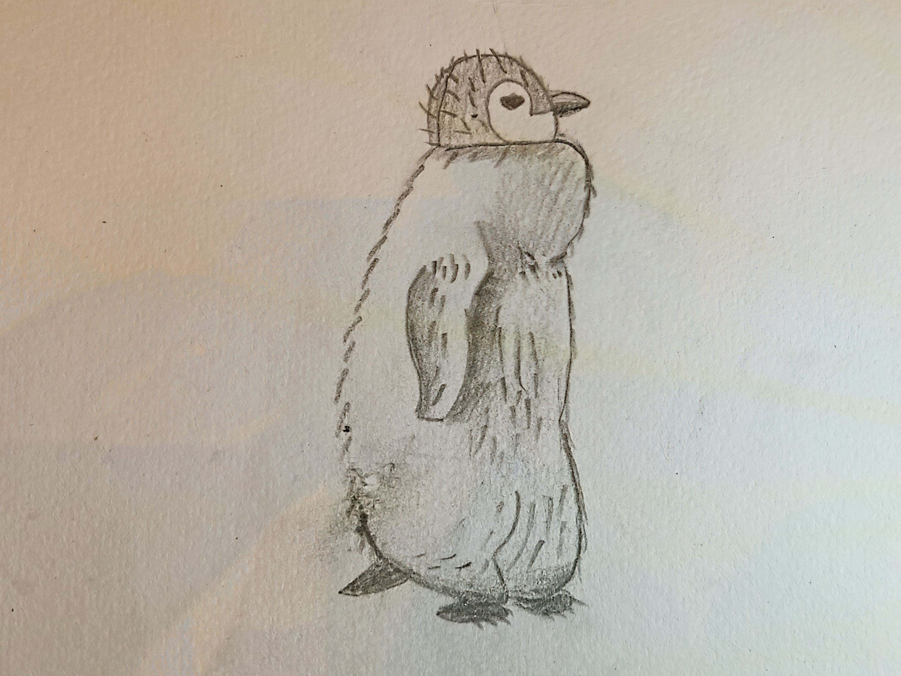 Penguin