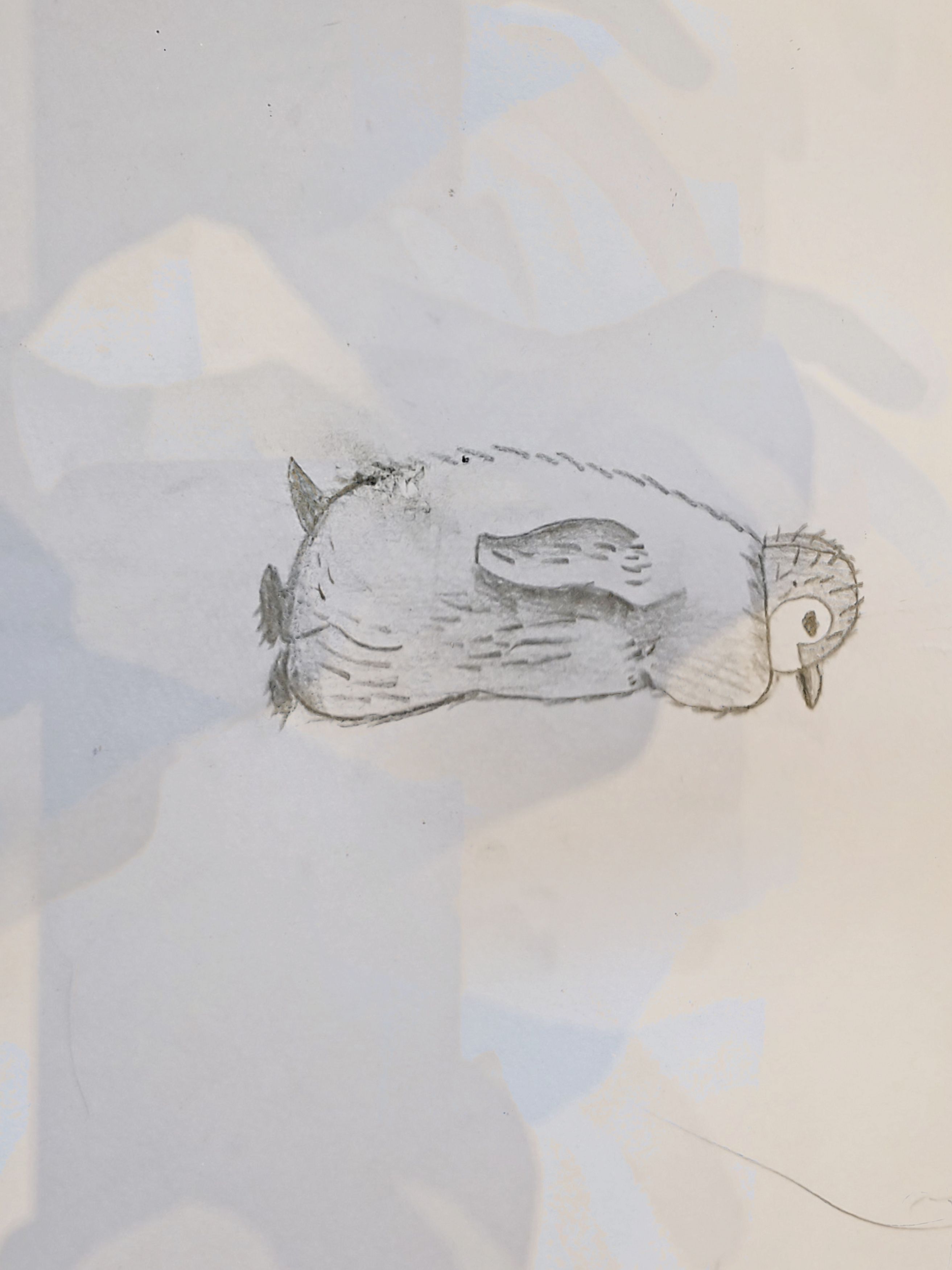 Penguin