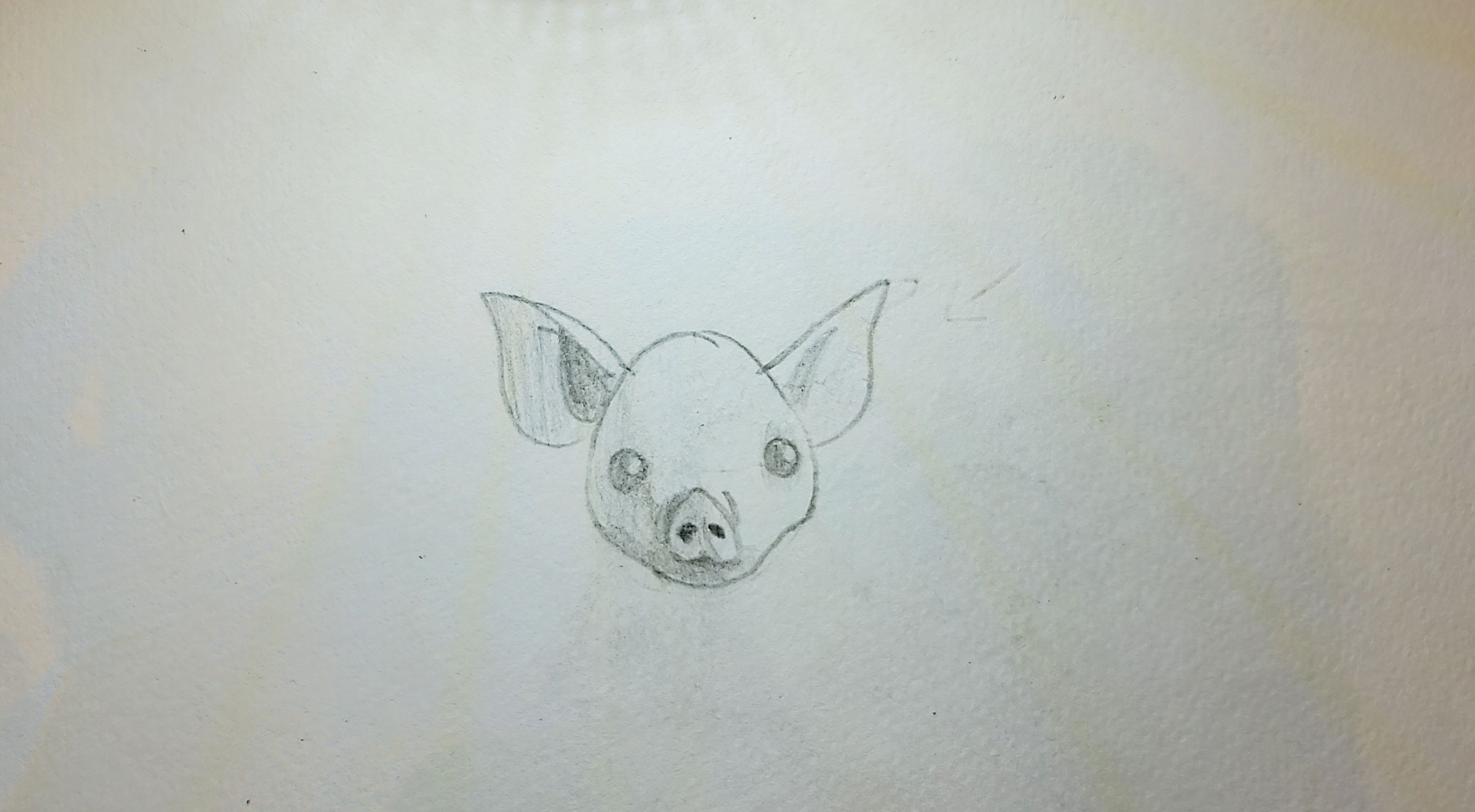 Pig