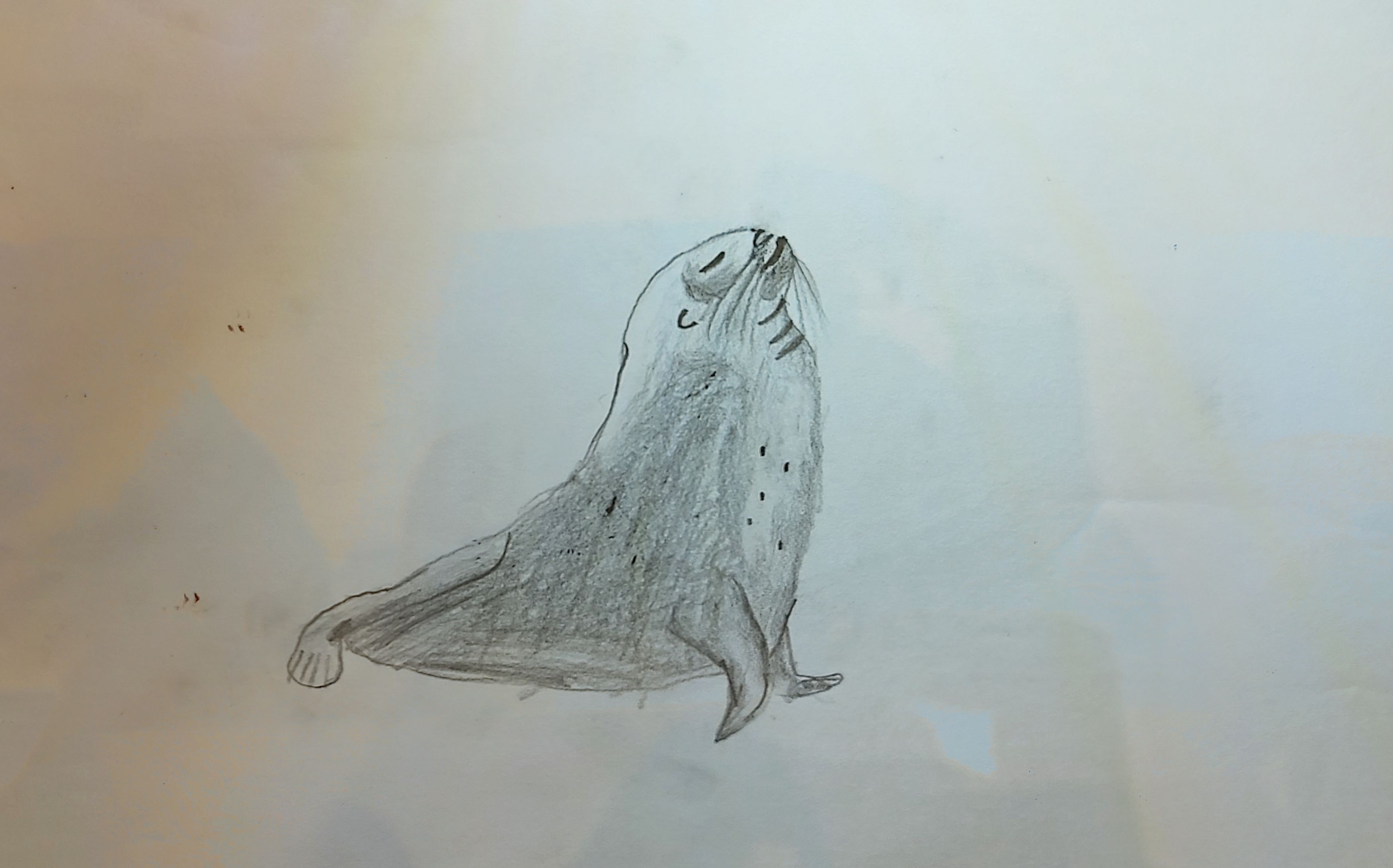 Seal