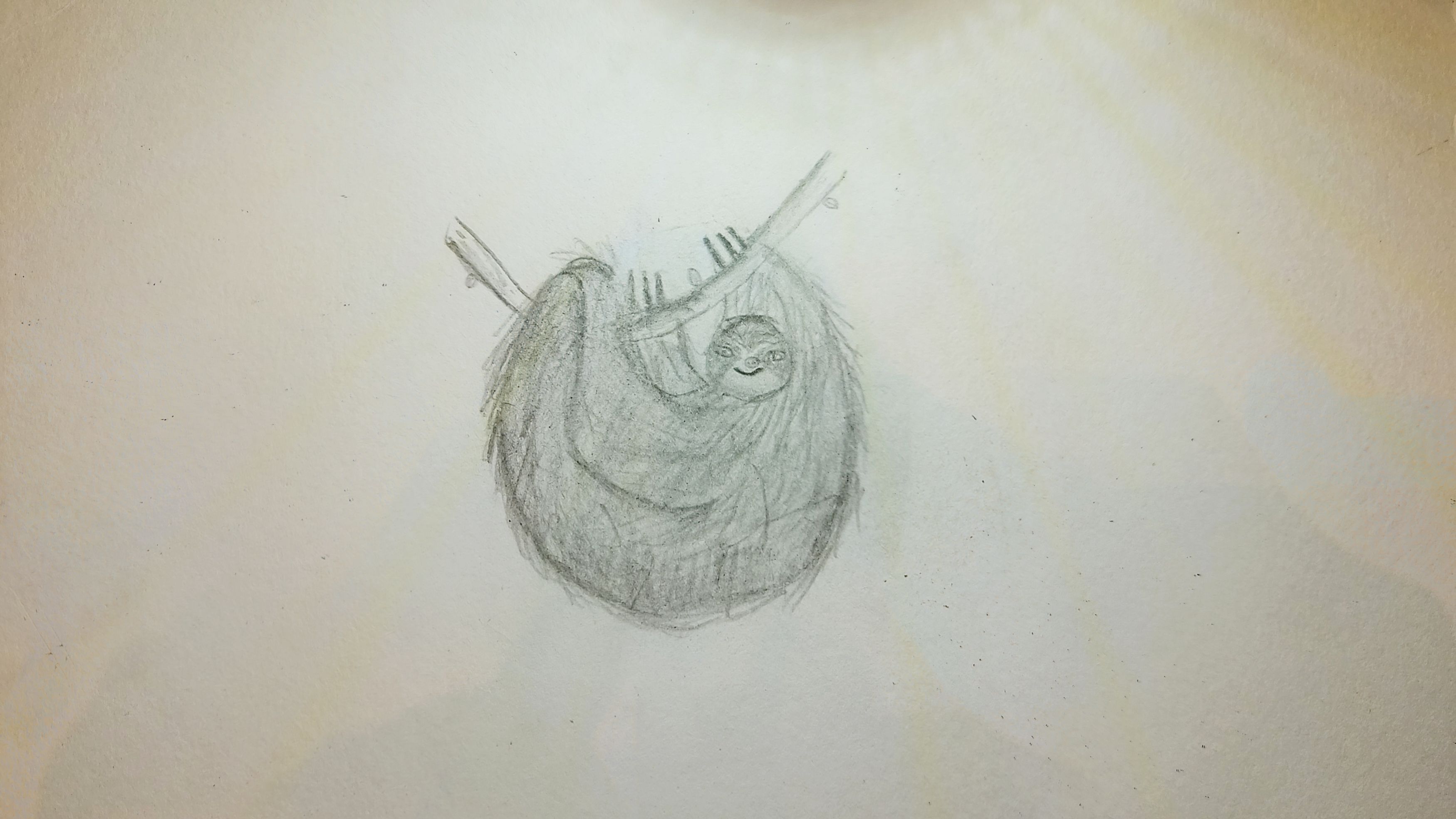 Sloth
