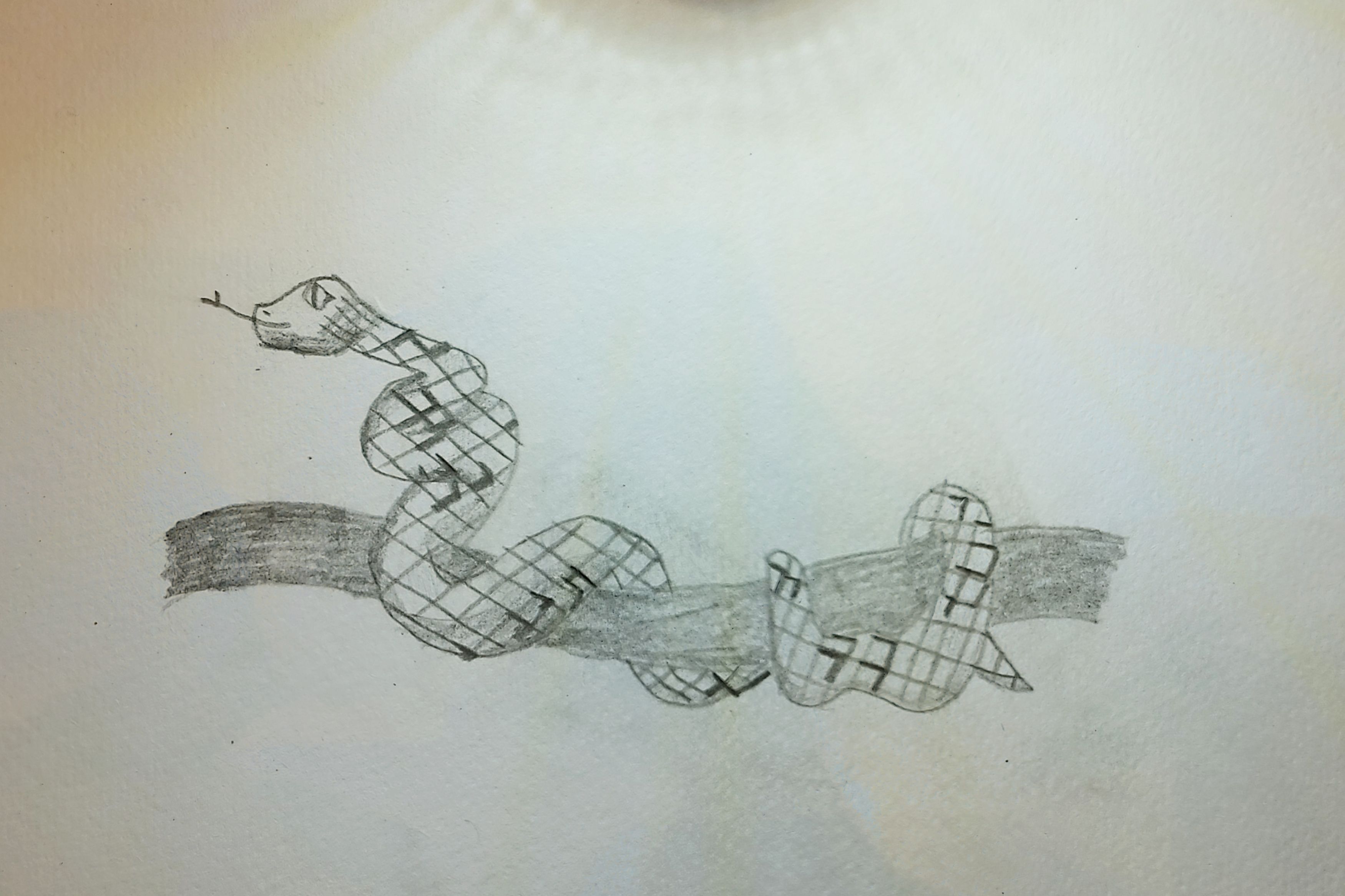 Snake