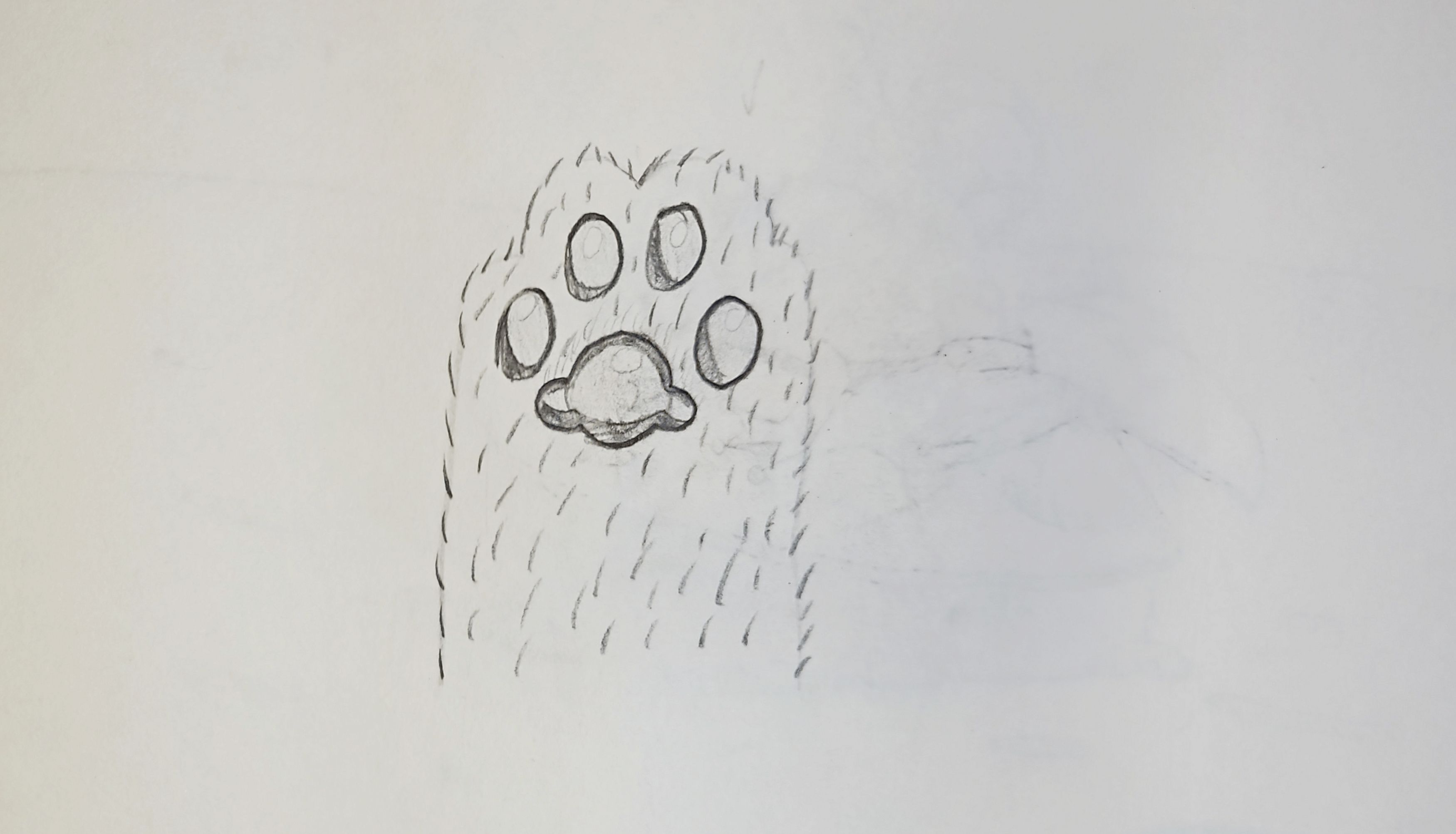 Soft Kitty Paw Print