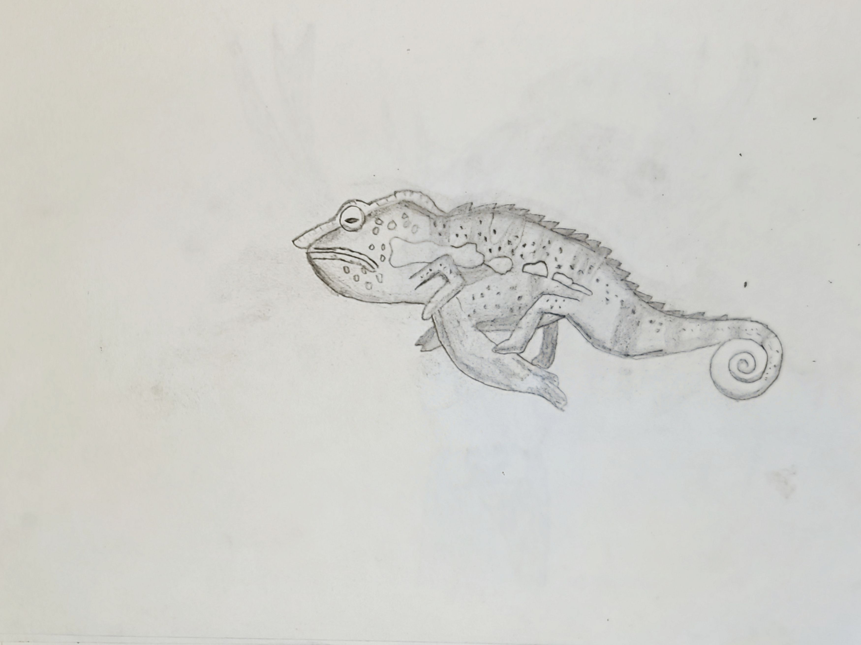Color-Changing Chameleon Magic!