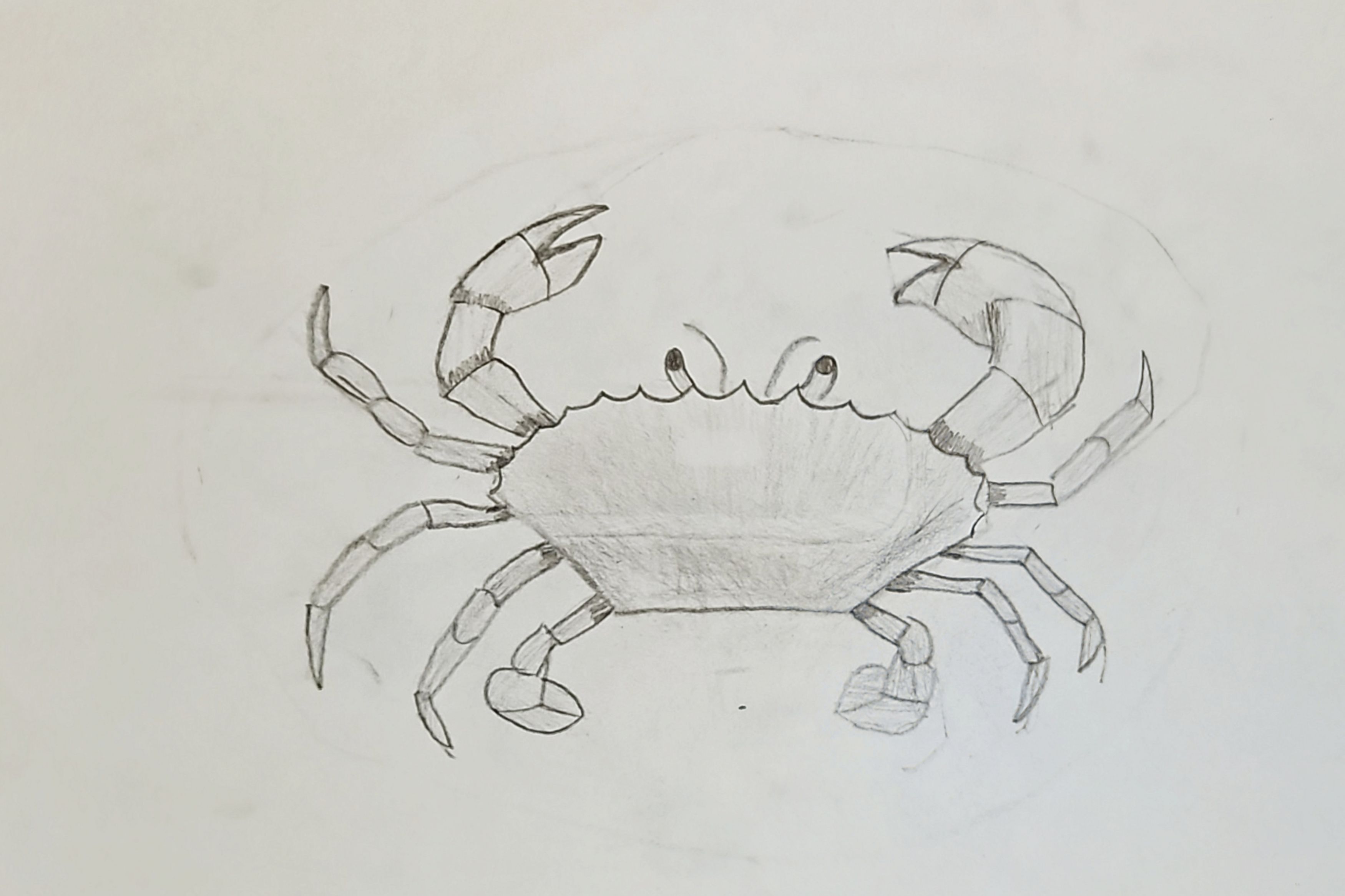 Crab Scuttling Along the Beach