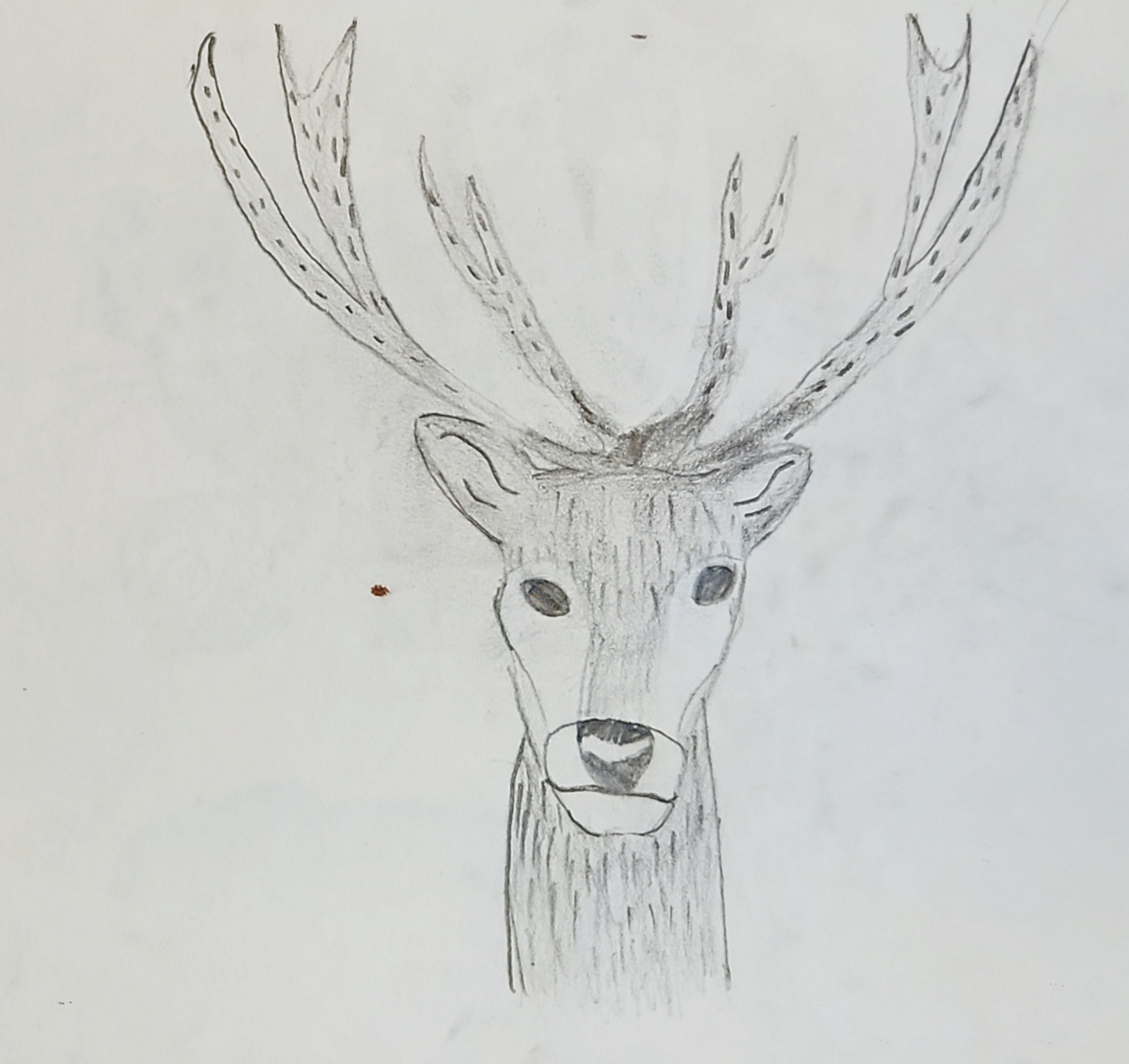 Magical Deer from the Forest
