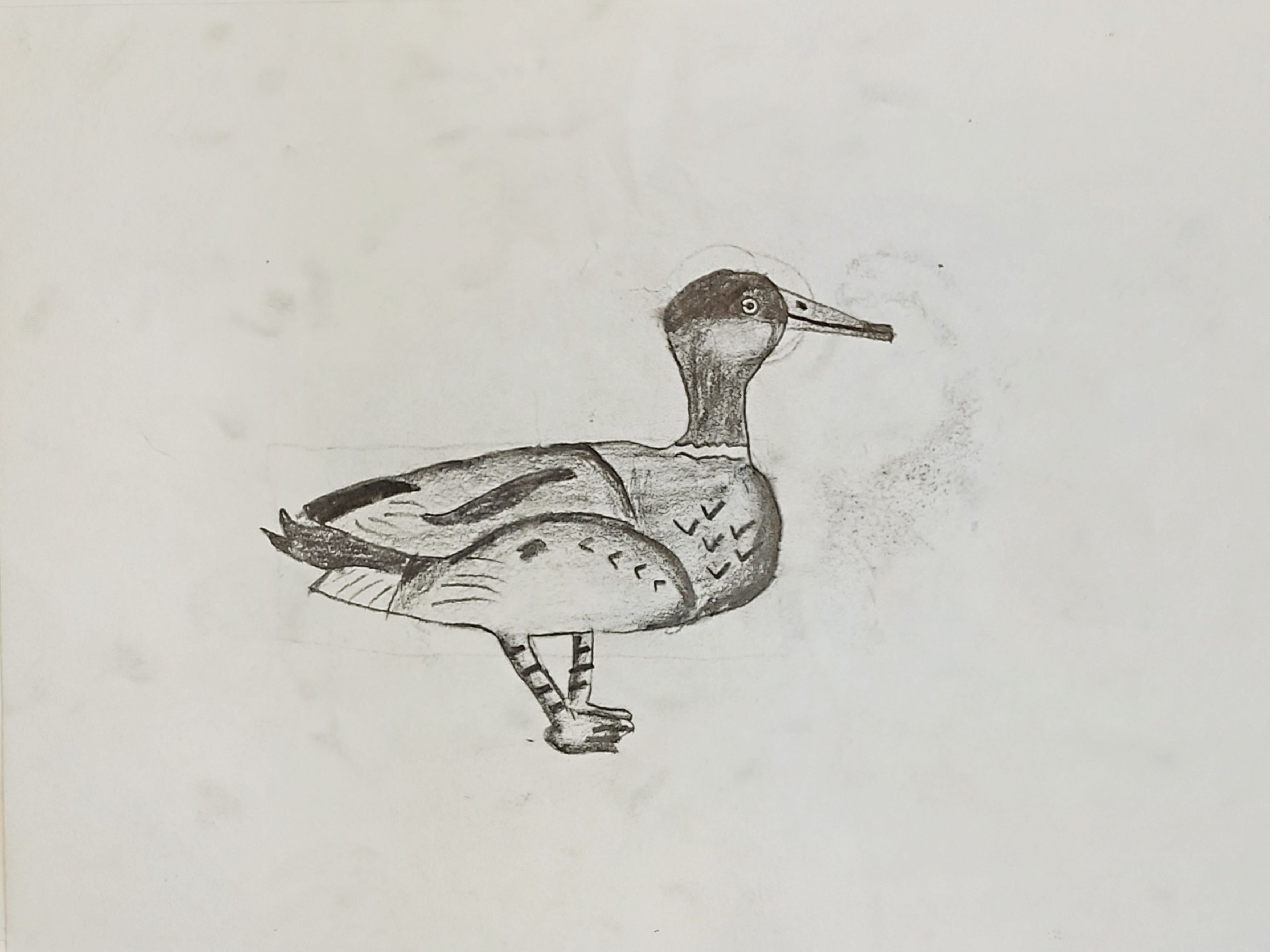 Quacking Duck Friend