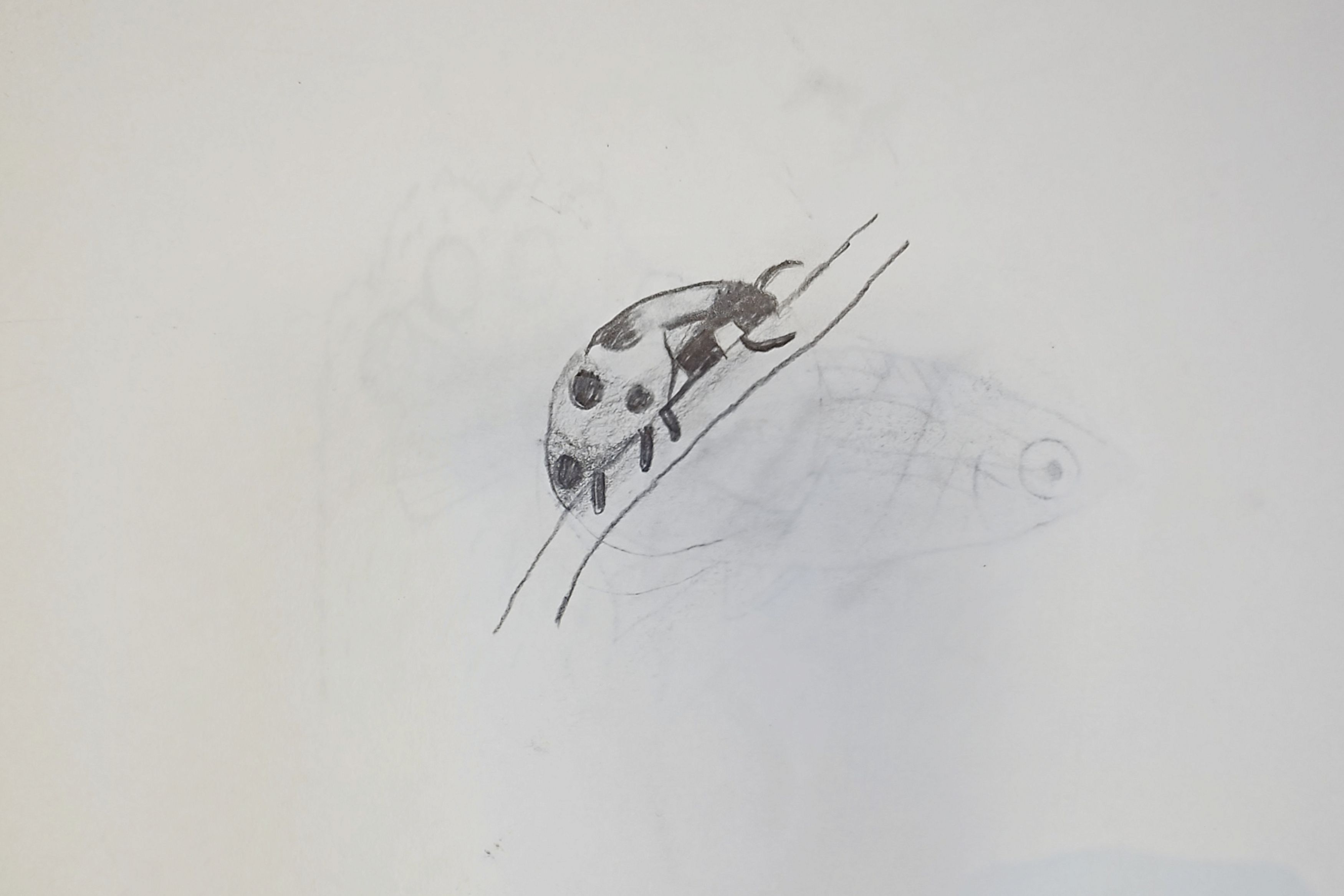 Ladybug on a Leaf - Tiny but Mighty!