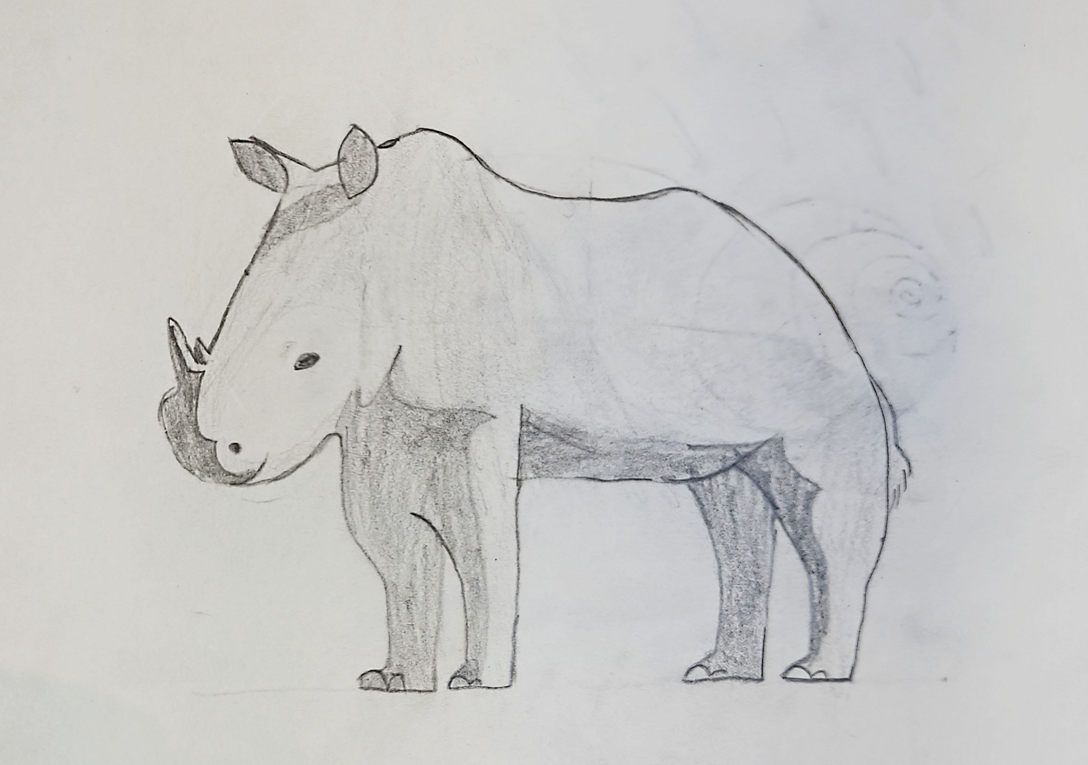 Powerful Rhino with Cool Horn!