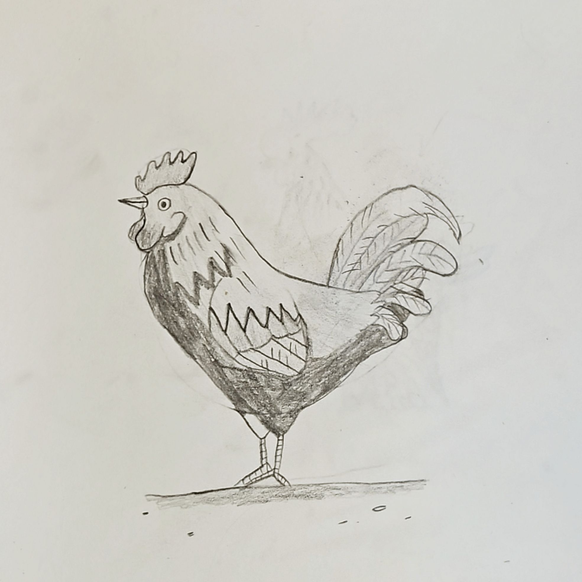 Proud Rooster Waking Everyone Up!
