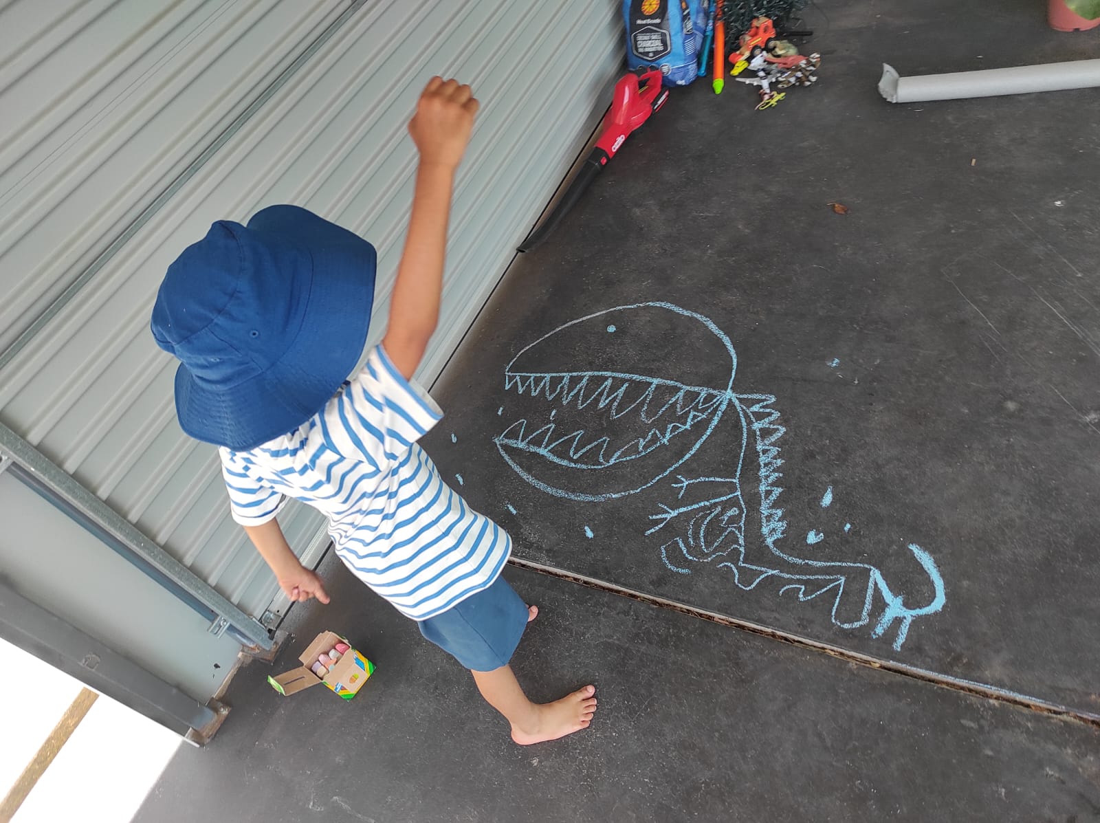 Dino drawn in the backyard floor